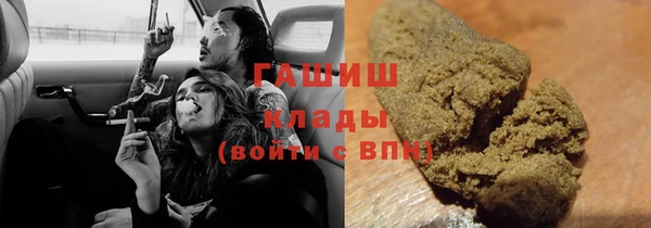 прущие грибы Баксан