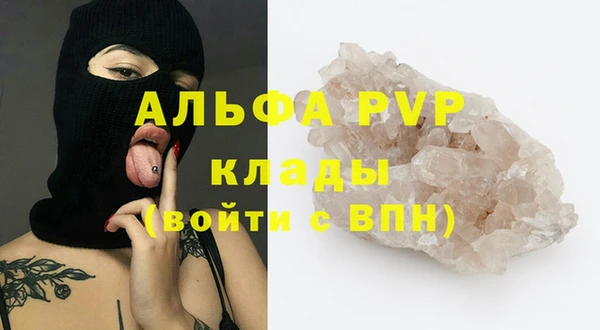 прущие грибы Баксан