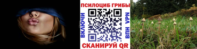Псилоцибиновые грибы MAGIC MUSHROOMS  Теберда 