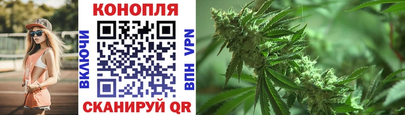 Бошки марихуана семена купить наркотик Теберда